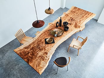 トチノキとは？ 木材、一枚板テーブルとしての魅力・特長について解説