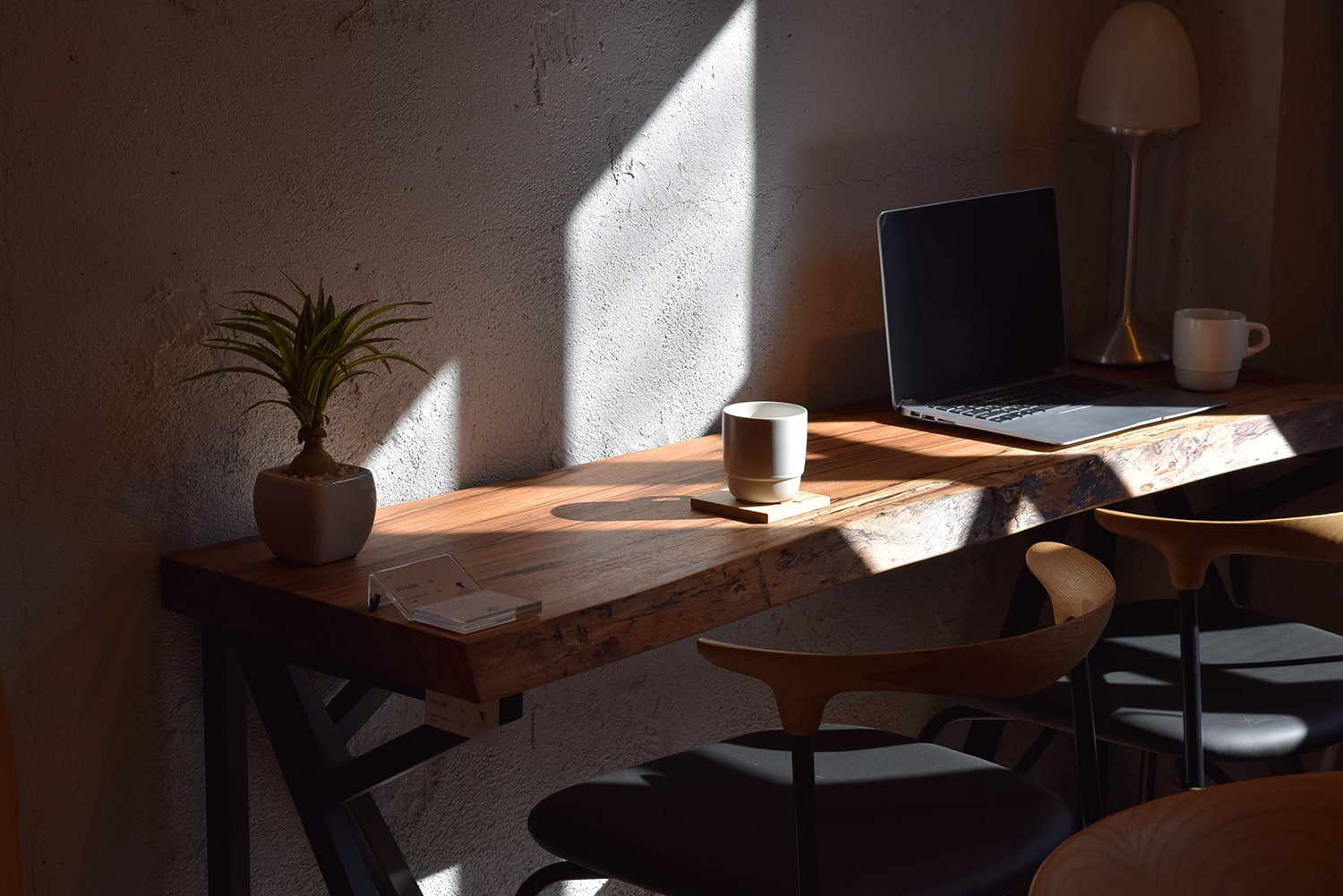 ギャラリーイメージ4