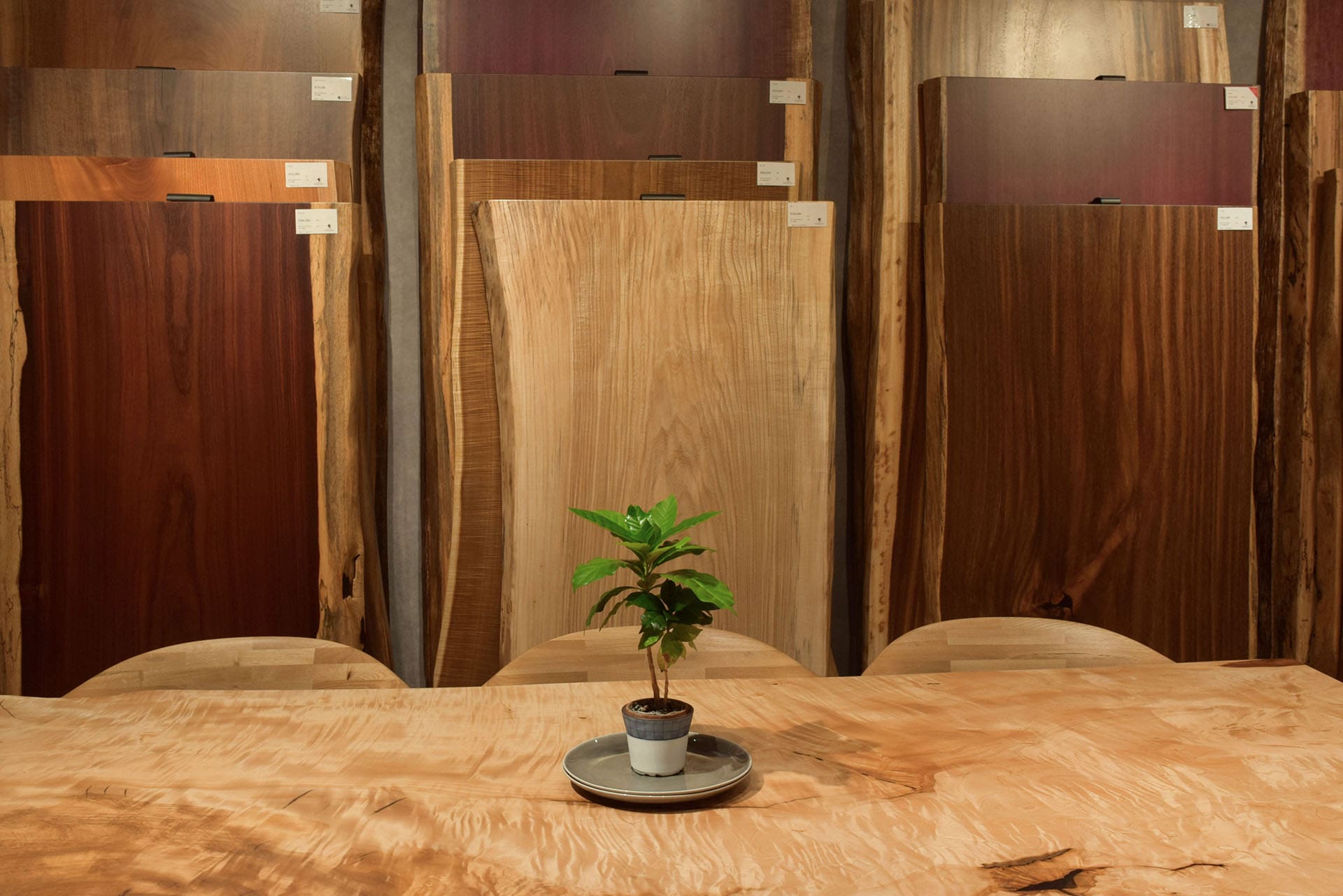 ギャラリーイメージ1