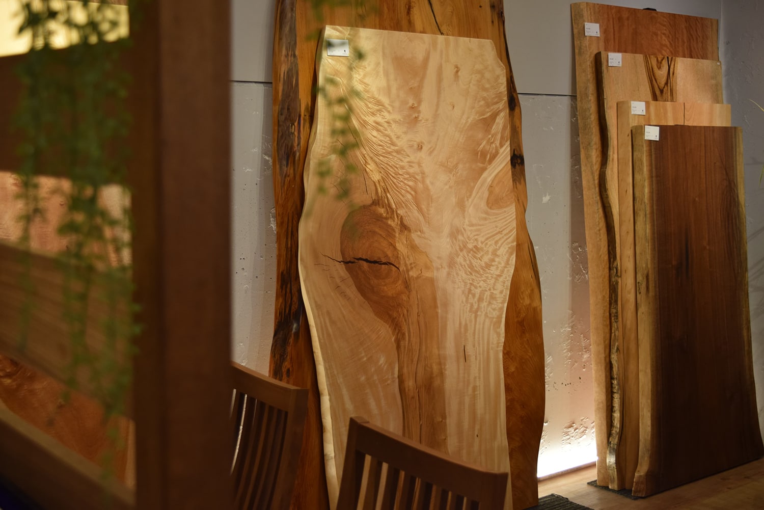 ギャラリーイメージ10