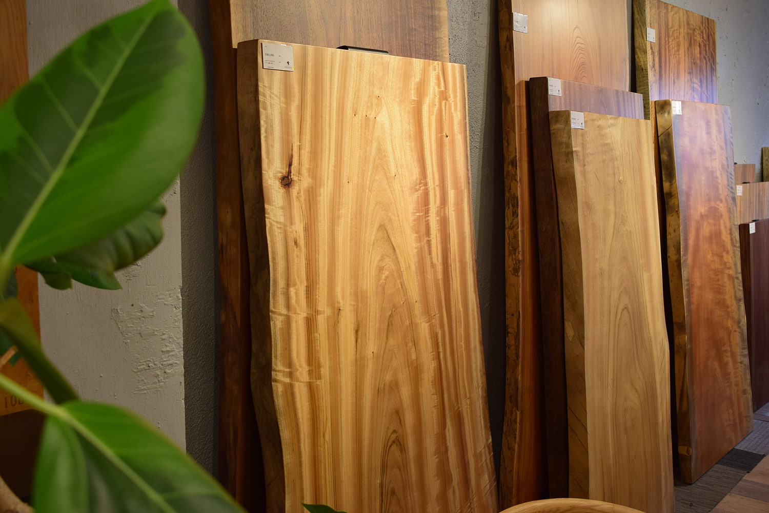 ギャラリーイメージ6