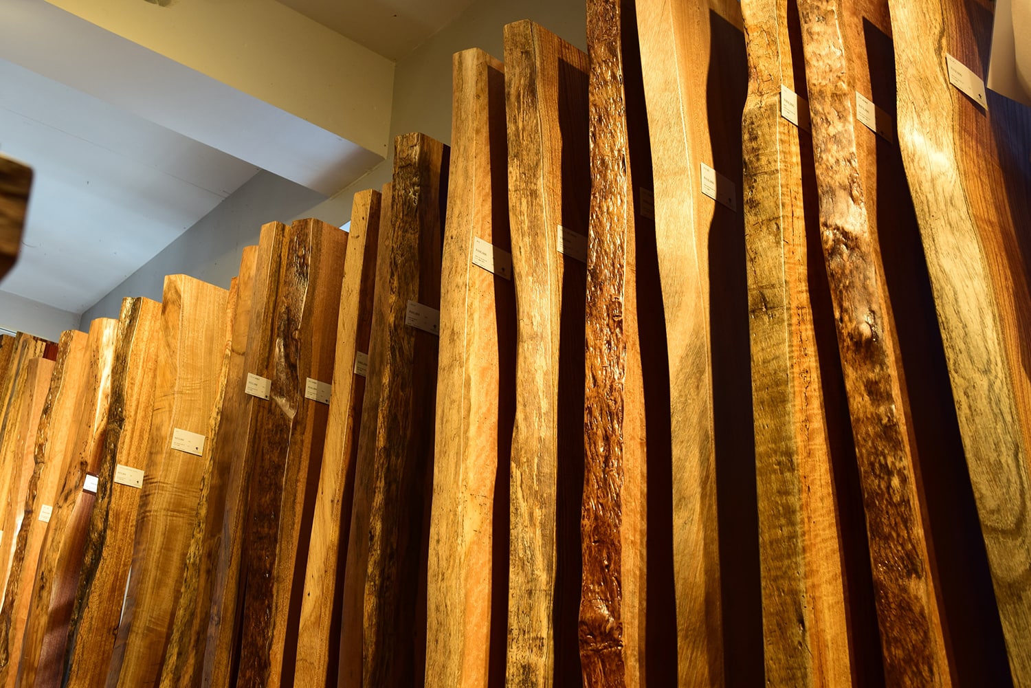 ギャラリーイメージ9