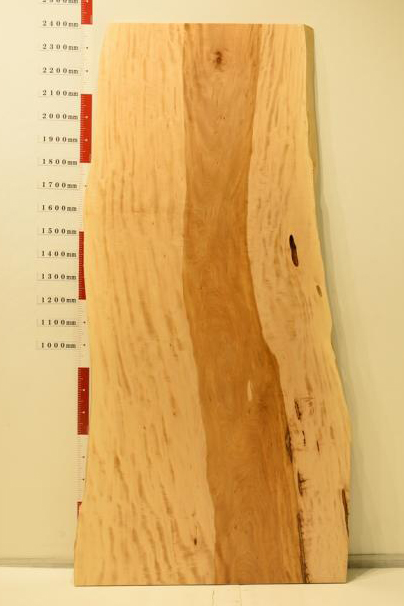 一枚板 トチ RP-UM-0216-16 (W2400)| ATELIER MOKUBA （関家具工房 木馬）