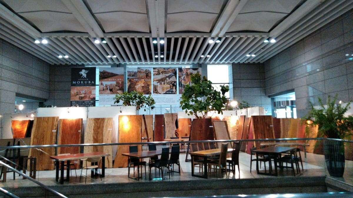 新宿ギャラリー　春の銘木祭　展示