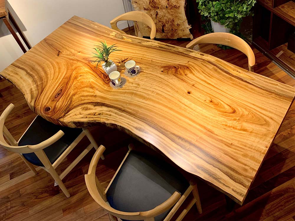 クス（楠）とは？木材としての特徴や一枚板の選び方を解説 – 一枚板  