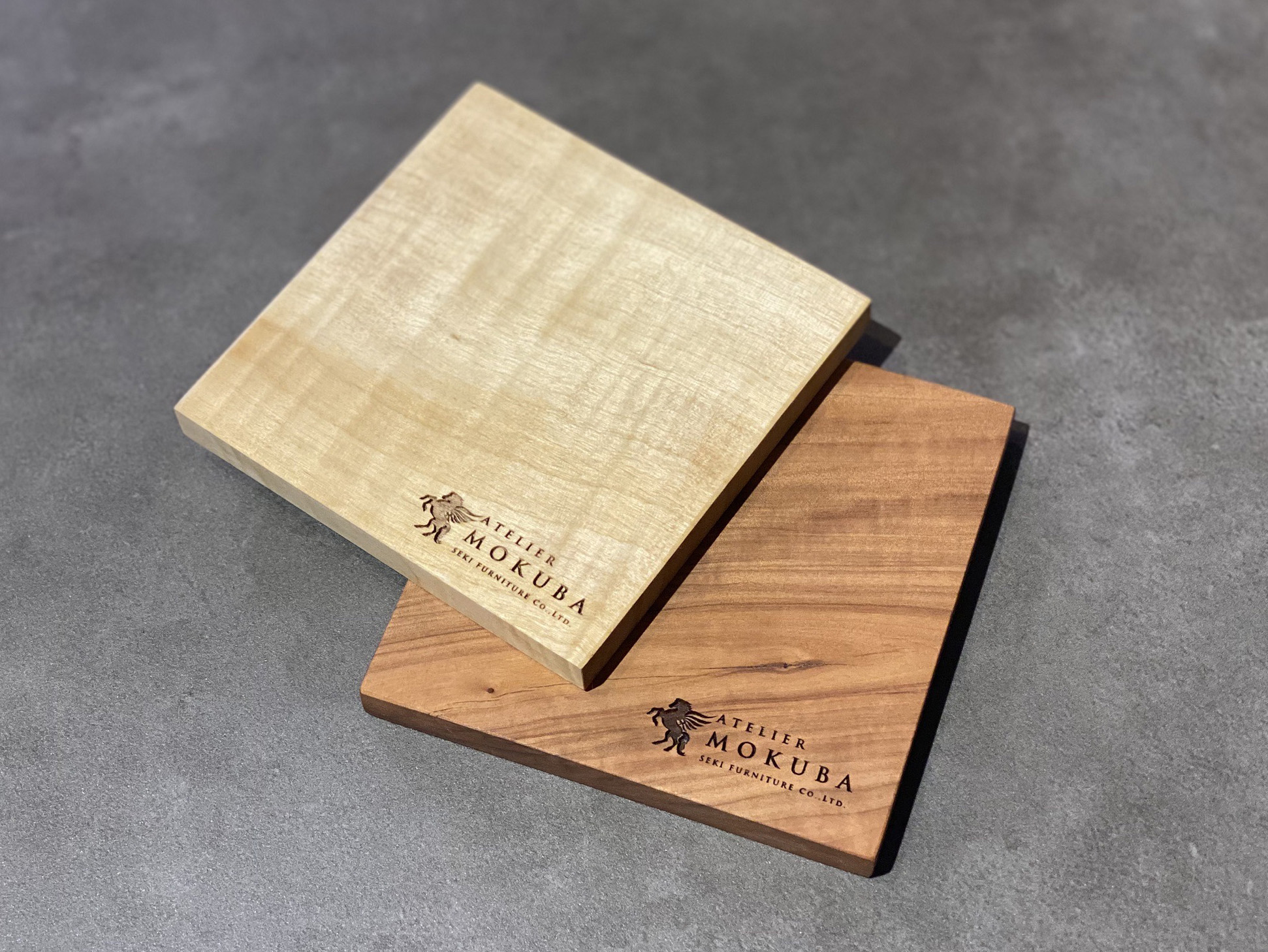 樹種コースター