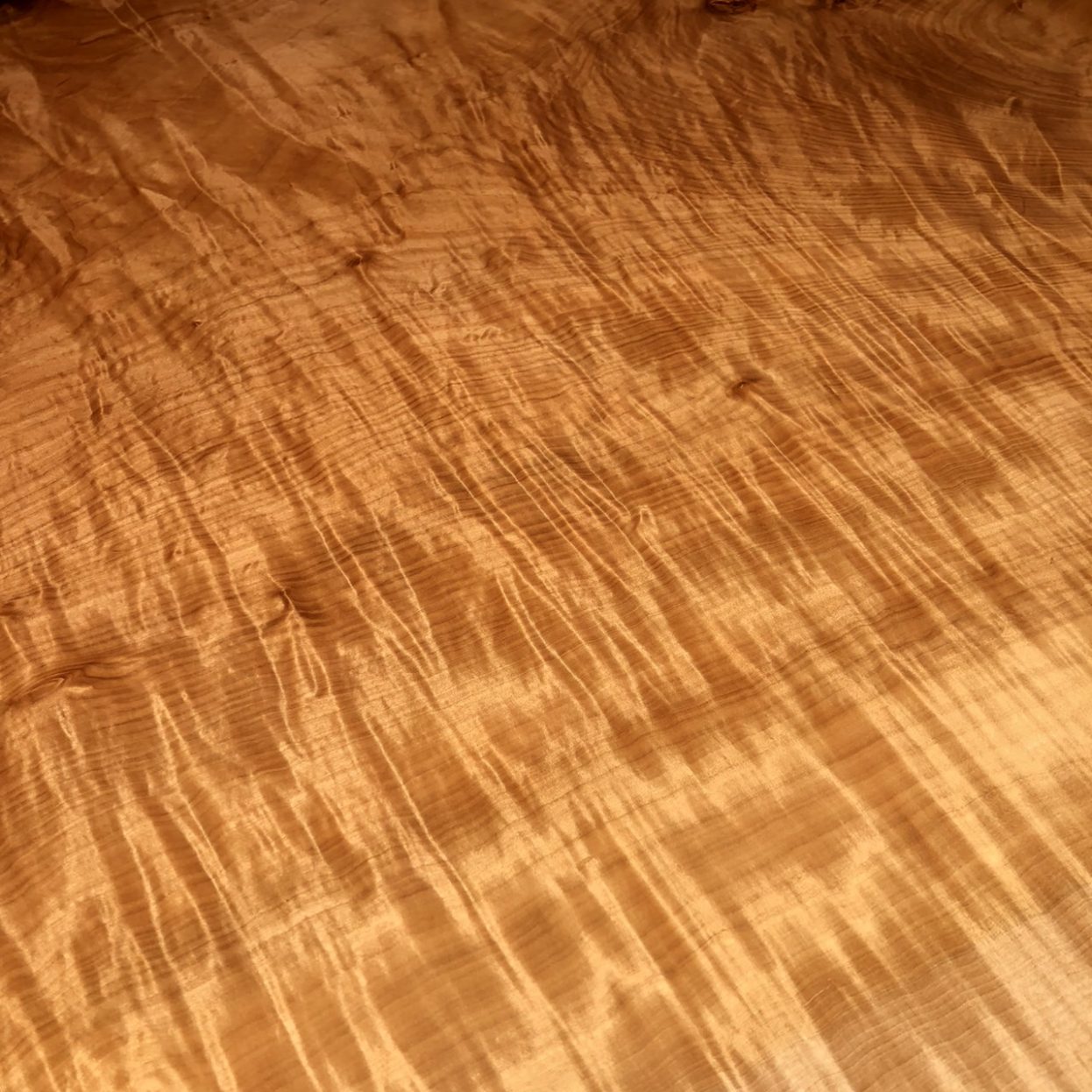 リップル マーク 木 (99) 사진