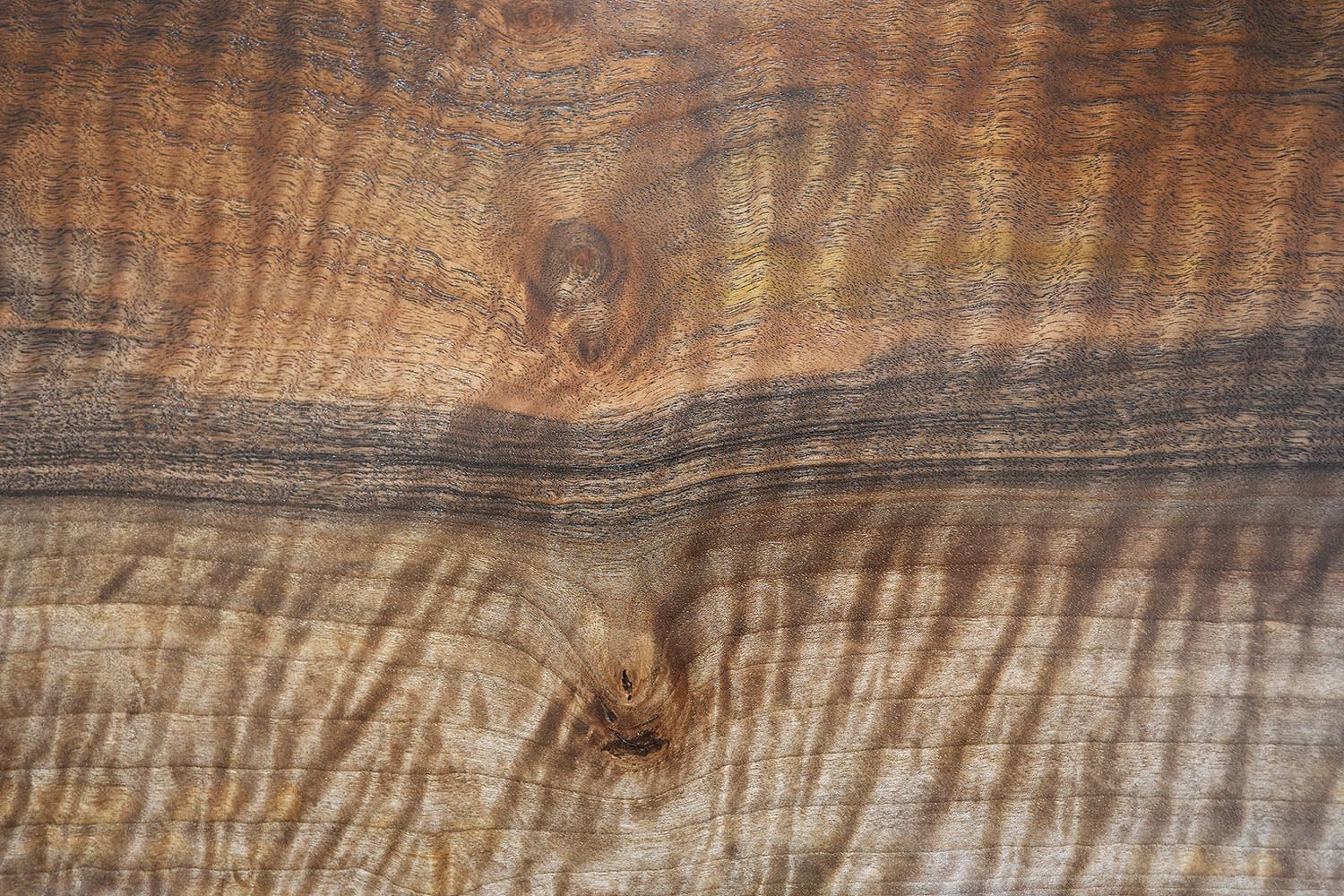 バストゥーンウォールナット