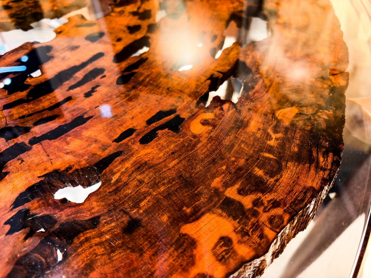 屋久杉木目アップ