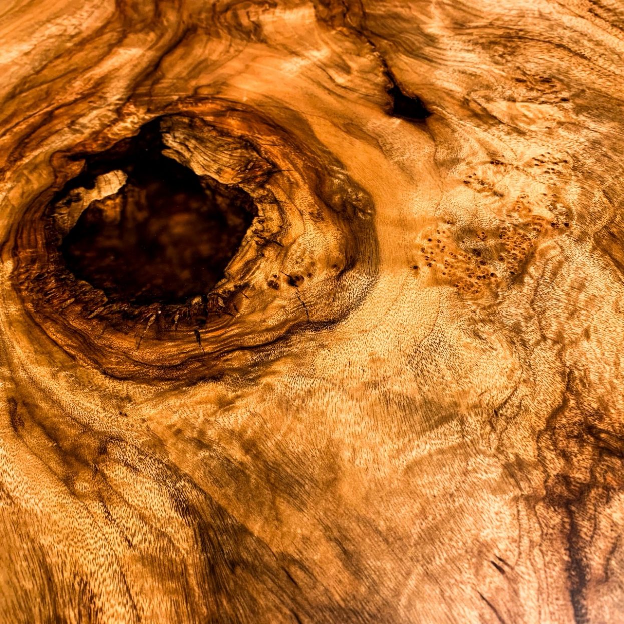 青山店展示のクス一枚板