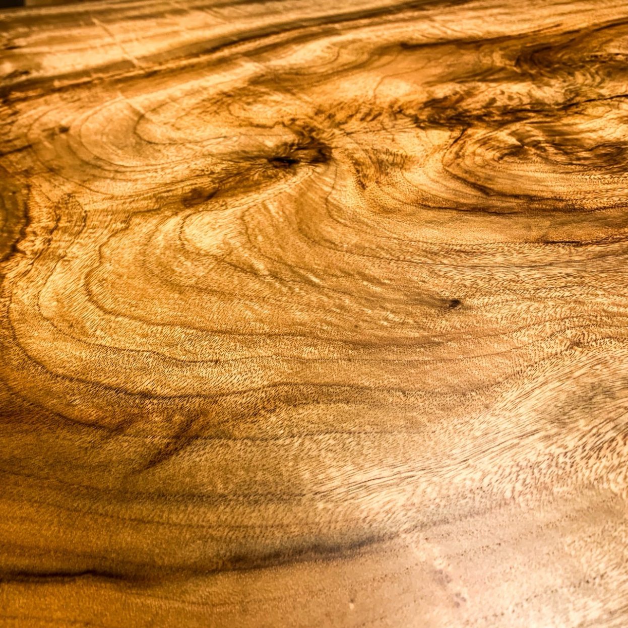 クス木目アップ