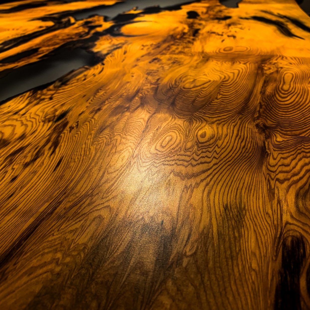 屋久杉木目アップ