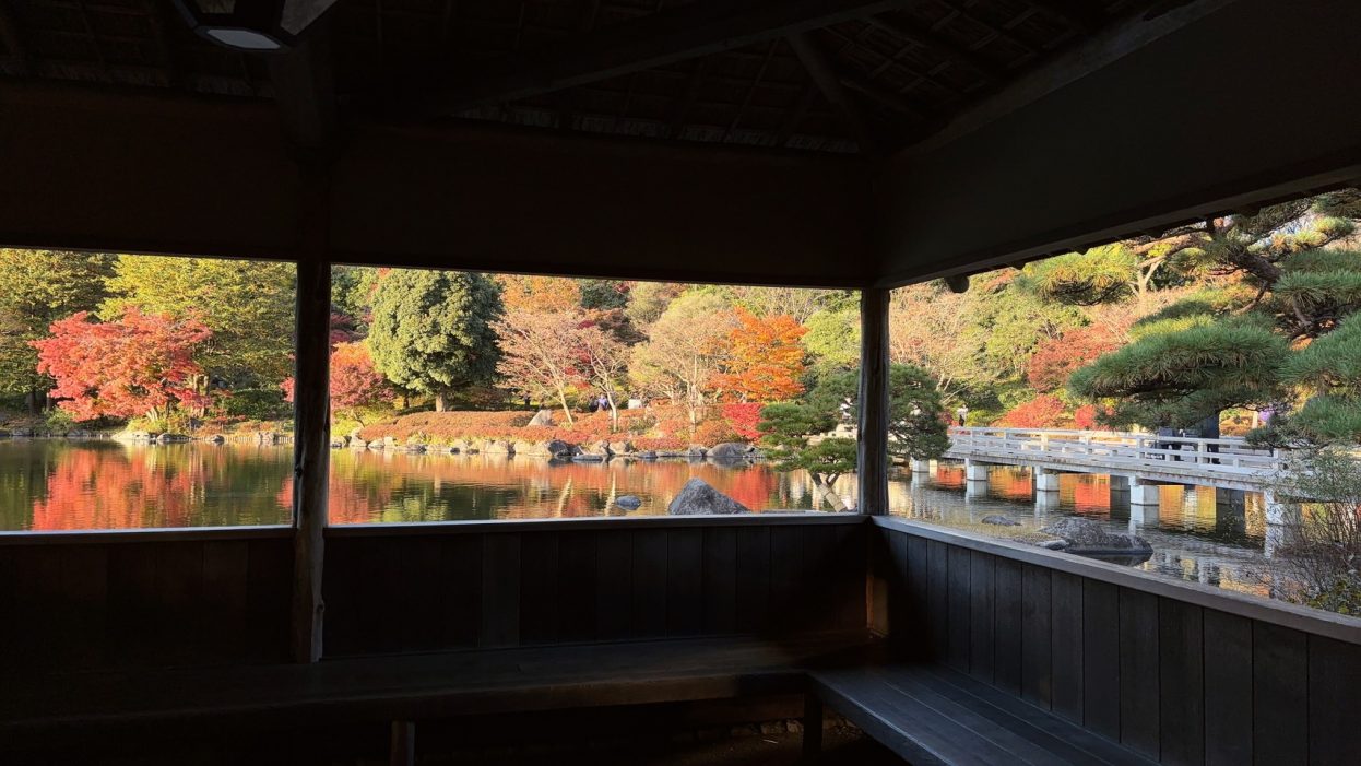 【吉祥寺店】紅葉する木、しない木