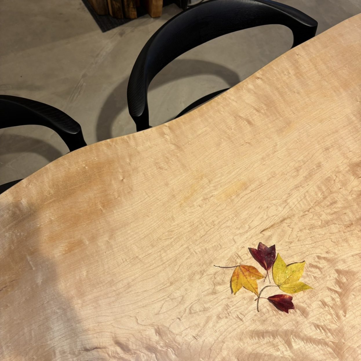 吉祥寺店展示のカエデ一枚板テーブル