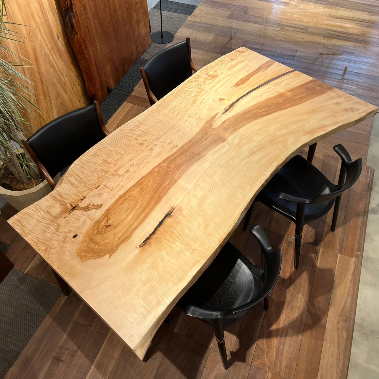 吉祥寺店おすすめのトチ一枚板