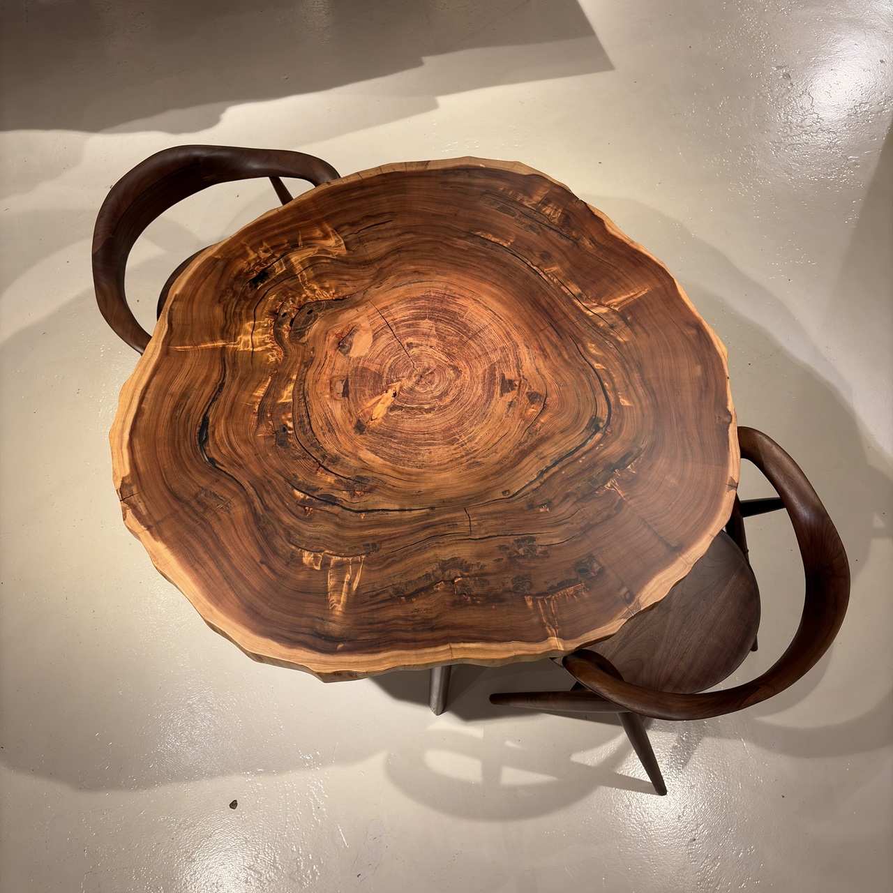 青山店おすすめの屋久杉輪切り一枚板