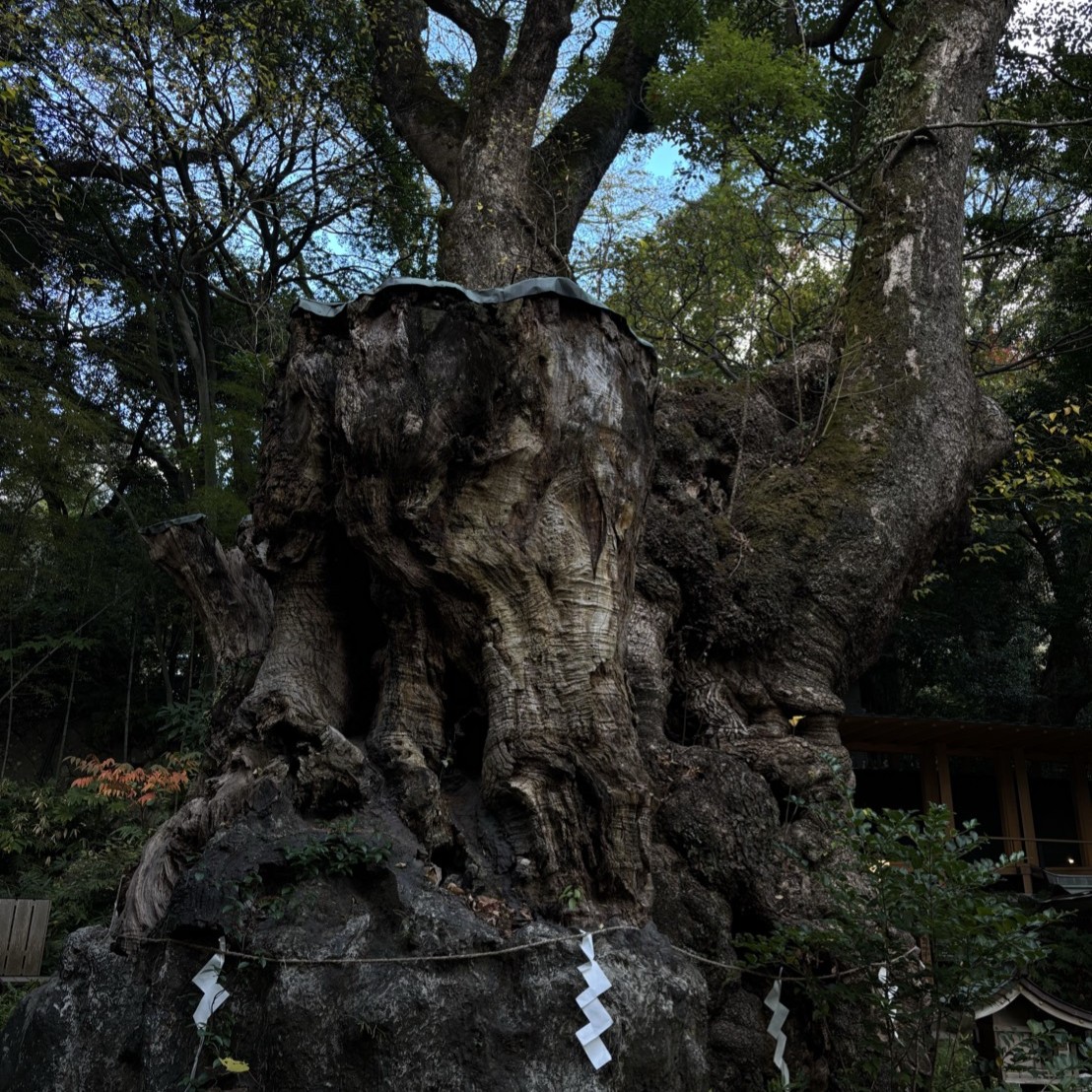 来宮神社の参拝方法