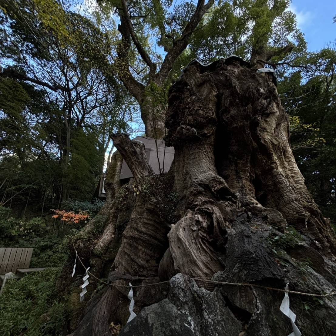 来宮神社の参拝方法