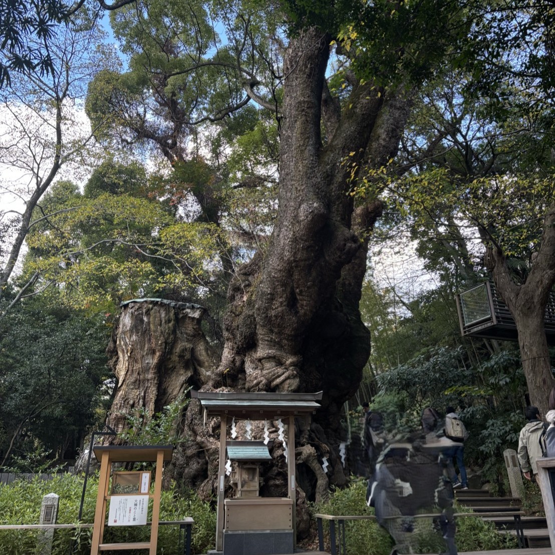来宮神社の参拝方法