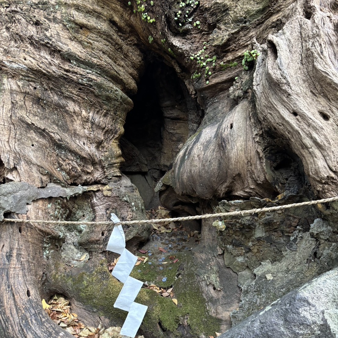 来宮神社の参拝方法