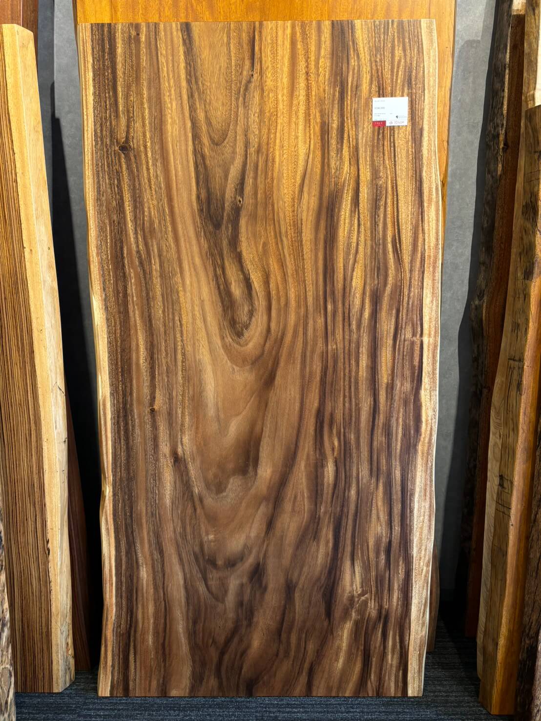 天神店のモンキーポッド