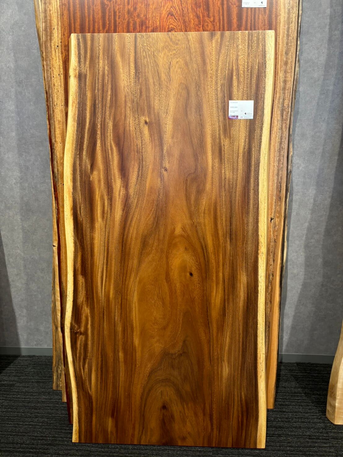 天神店のモンキーポッド