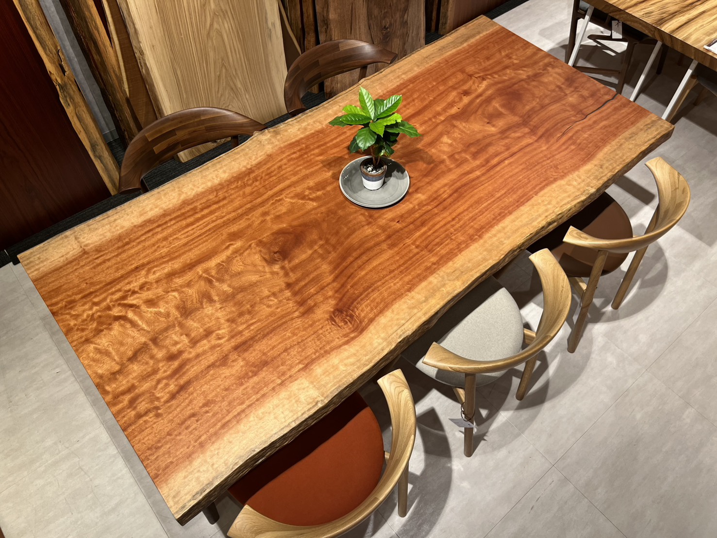 横浜店おすすめのボセ一枚板テーブルのコーディネート