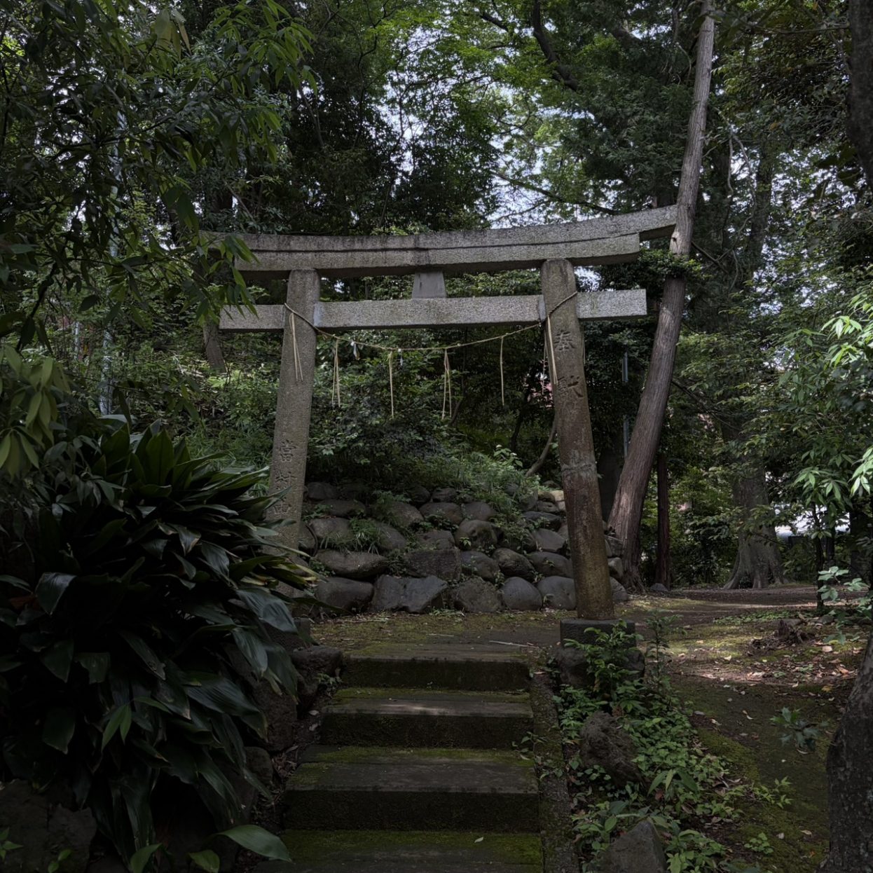 杵築大社