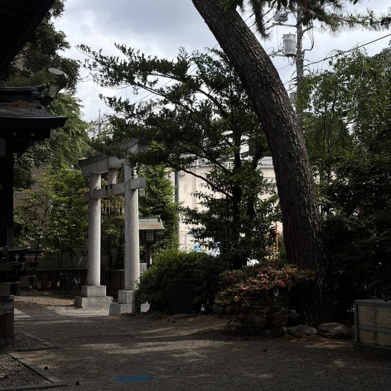 杵築大社