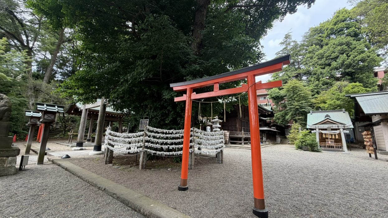 【吉祥寺店】”千年”ではなく、『千本』