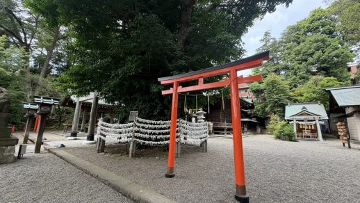 【吉祥寺店】”千年”ではなく、『千本』