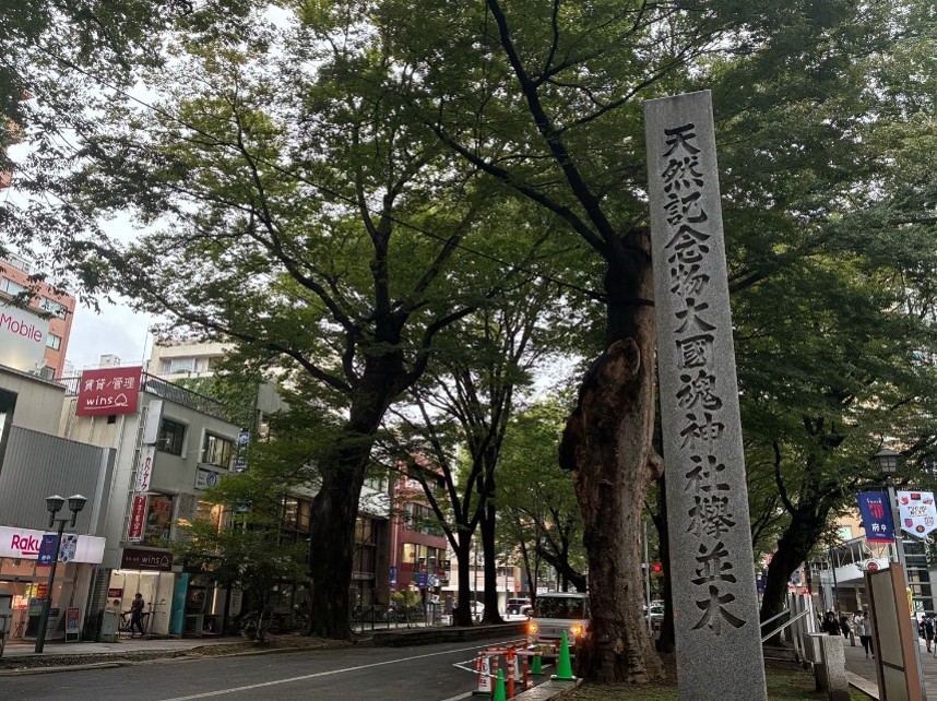 ケヤキ並木の参道